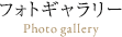 フォトギャラリーPhoto gallery